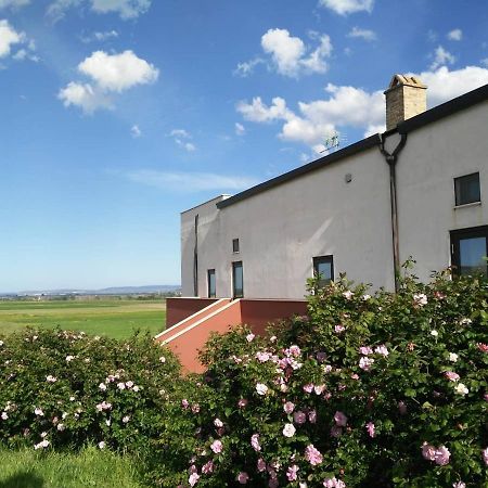 Masseria Agriturismo Moschella Posta Piana Ngoại thất bức ảnh