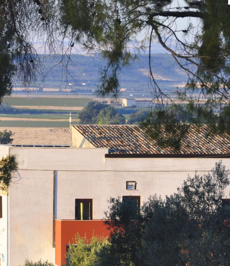 Masseria Agriturismo Moschella Posta Piana Ngoại thất bức ảnh
