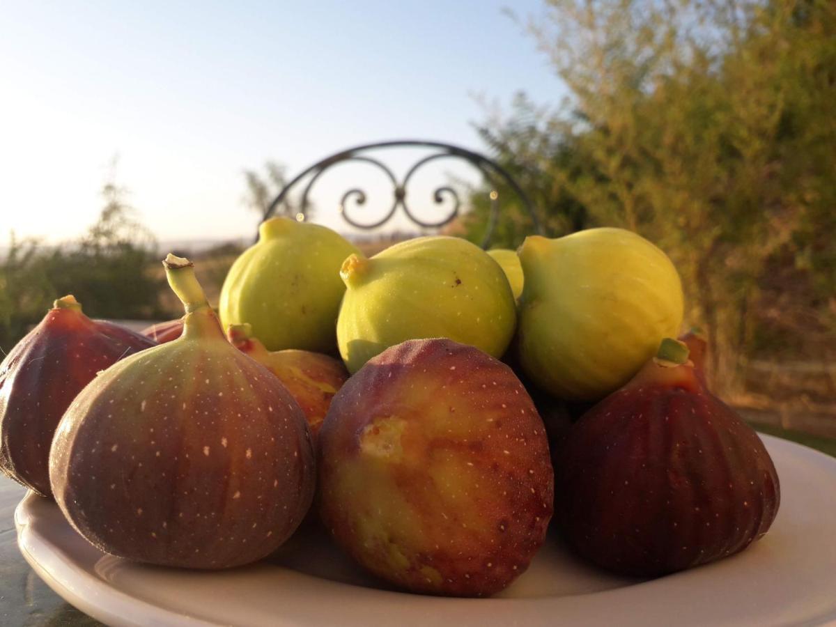 Masseria Agriturismo Moschella Posta Piana Ngoại thất bức ảnh
