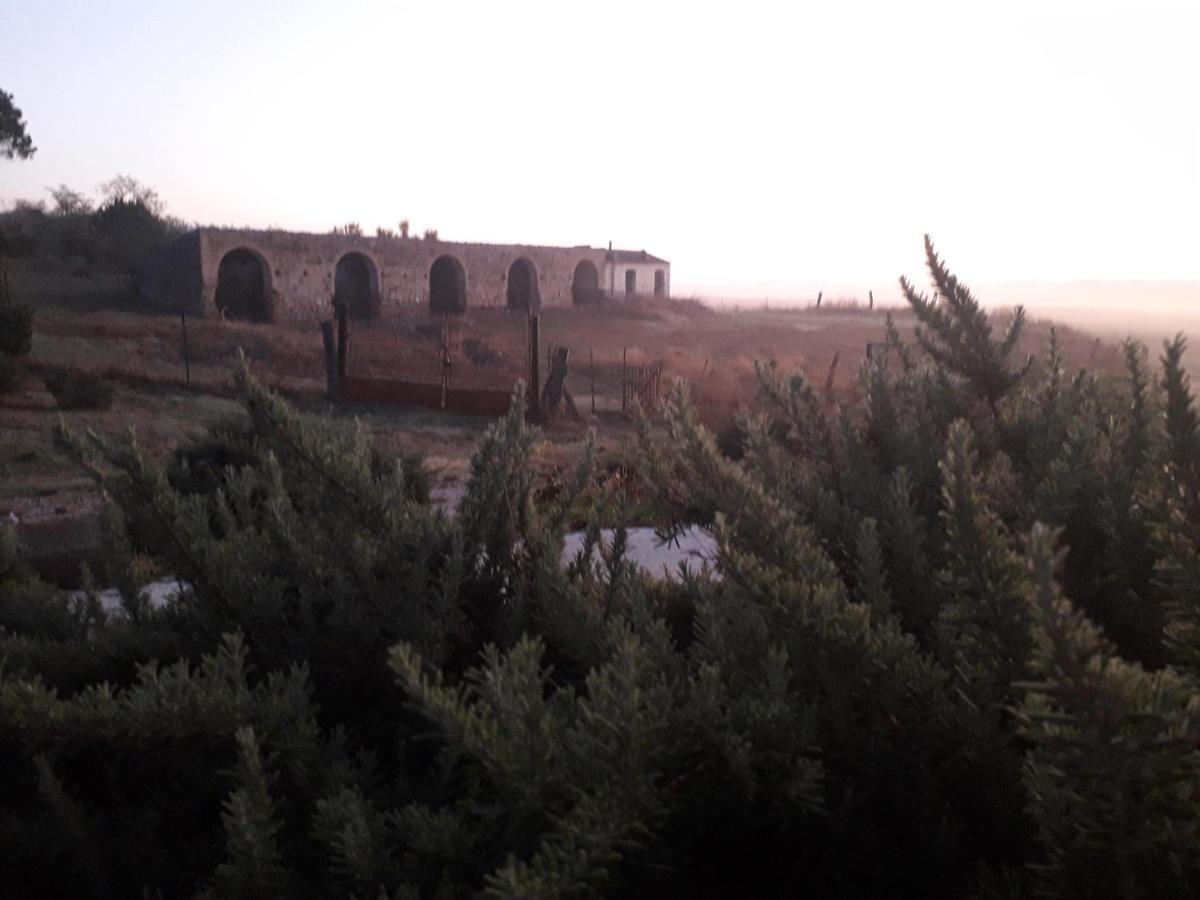 Masseria Agriturismo Moschella Posta Piana Ngoại thất bức ảnh